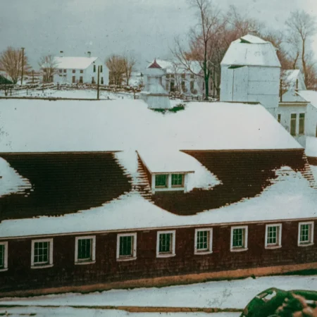 10. Housed George Perry Clark's Champion Golden Guernsey Cows for 40 years beginning in 1932