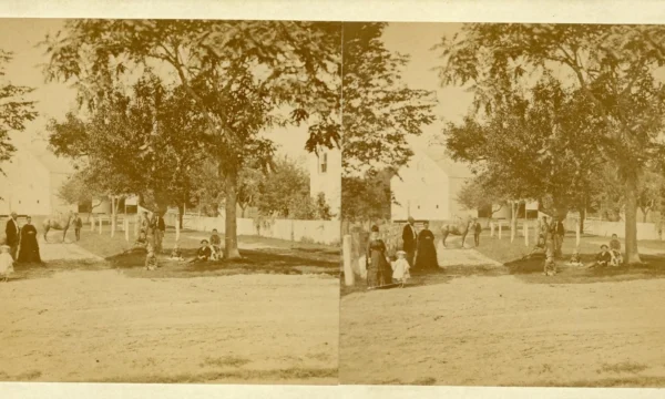 st-warwickfarm1874