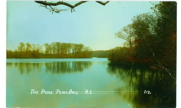 The Pond...