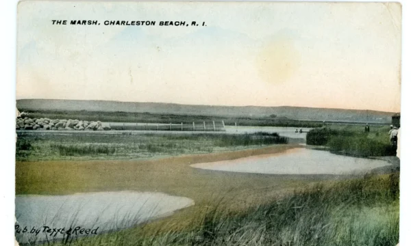 The Marsh...
