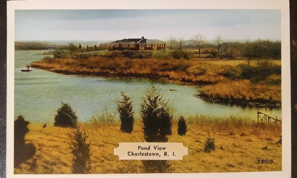 Pond View...